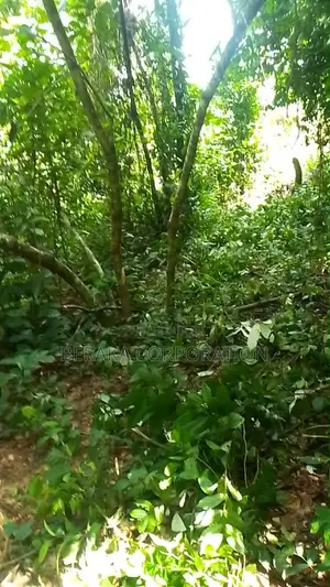 Terres cultivables en forêt à Guitry, photo 1