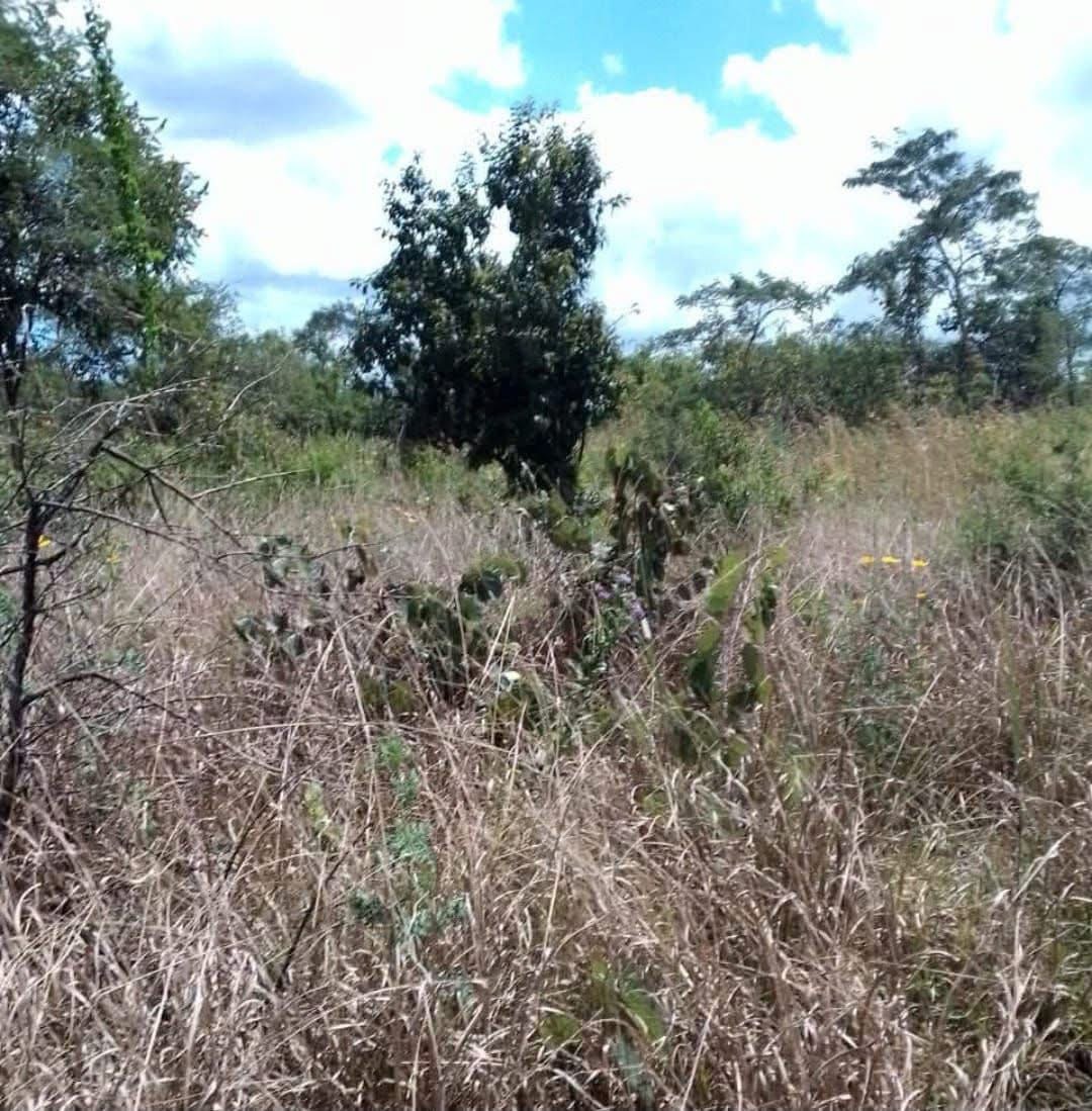 Photo fournie pour les parcelles agricoles à Agboville